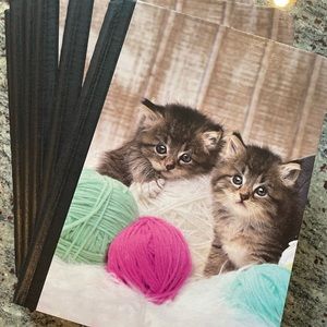 Kitten composition notebooks 🐱 perfect for back to school 📓🖍📚✏️